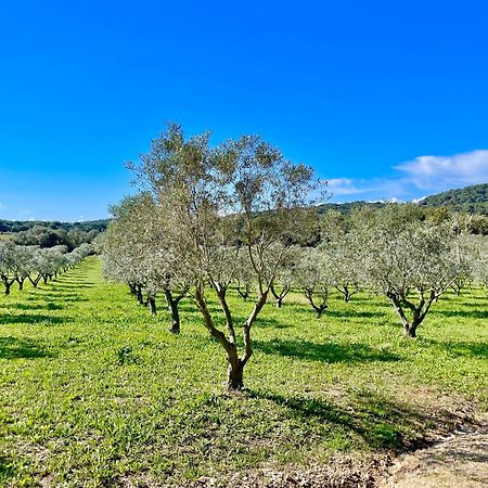 Apartament Latitudes 43 Porquerolles Zewnętrze zdjęcie