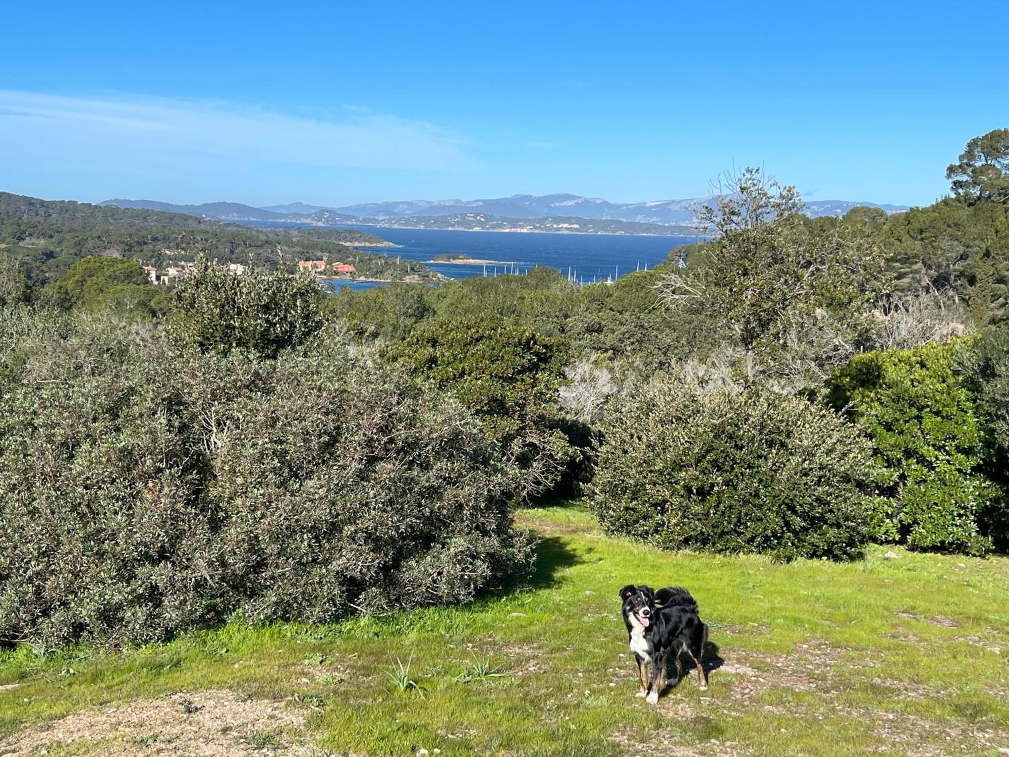 Apartament Latitudes 43 Porquerolles Zewnętrze zdjęcie