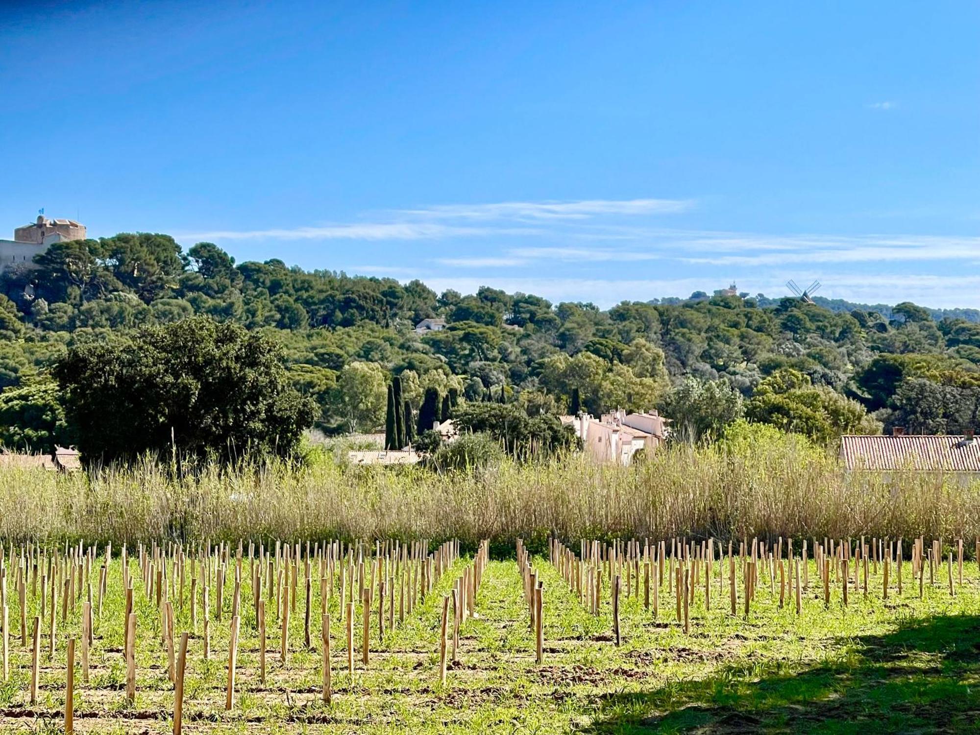 Apartament Latitudes 43 Porquerolles Zewnętrze zdjęcie