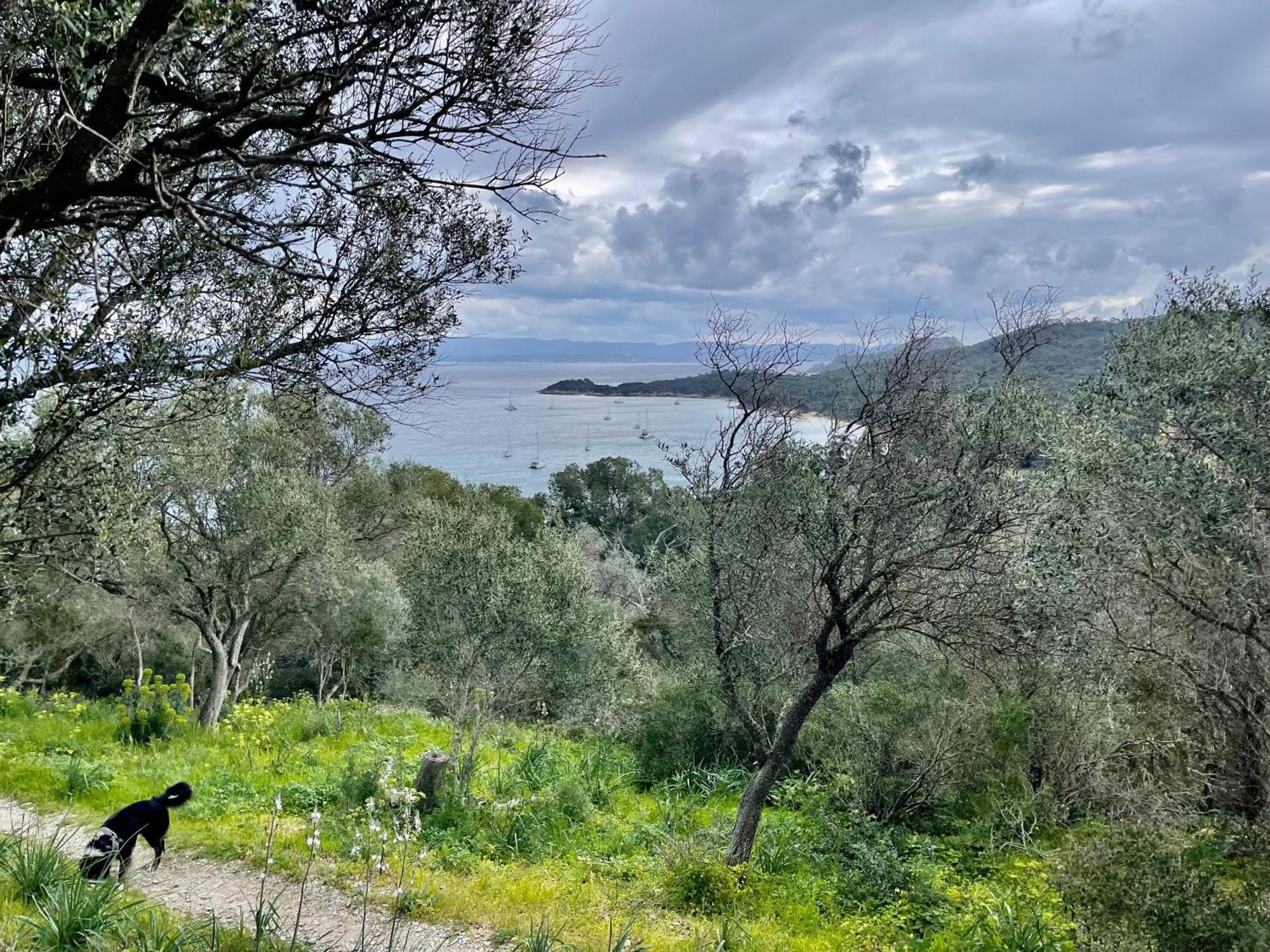 Apartament Latitudes 43 Porquerolles Zewnętrze zdjęcie
