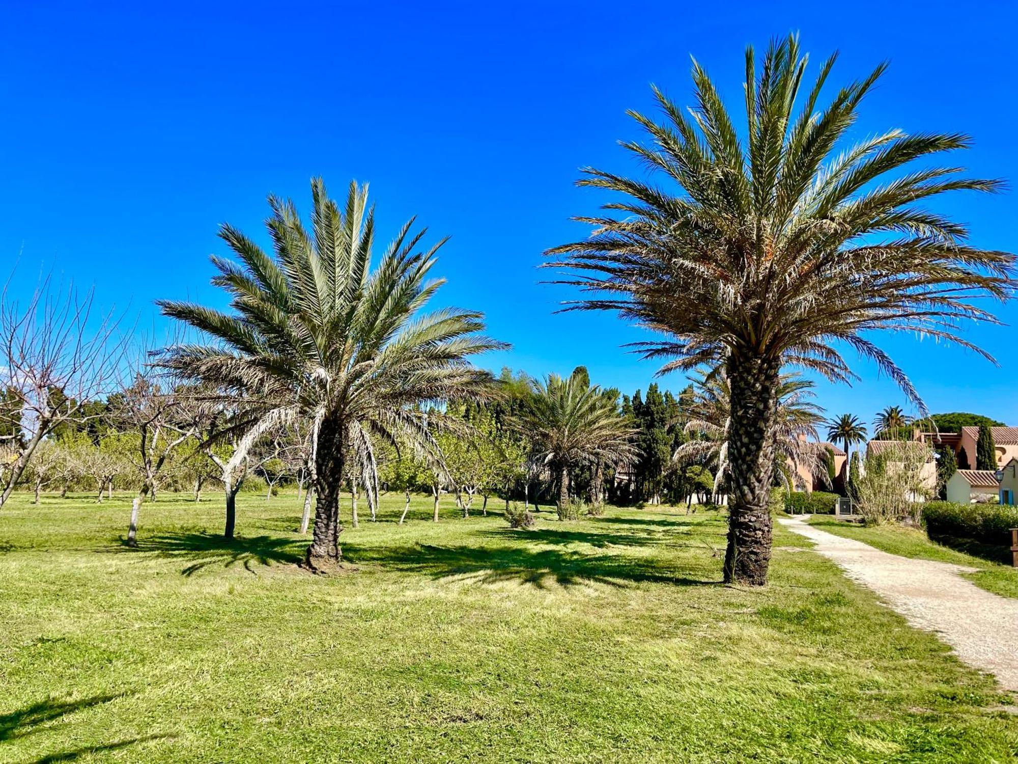 Apartament Latitudes 43 Porquerolles Zewnętrze zdjęcie