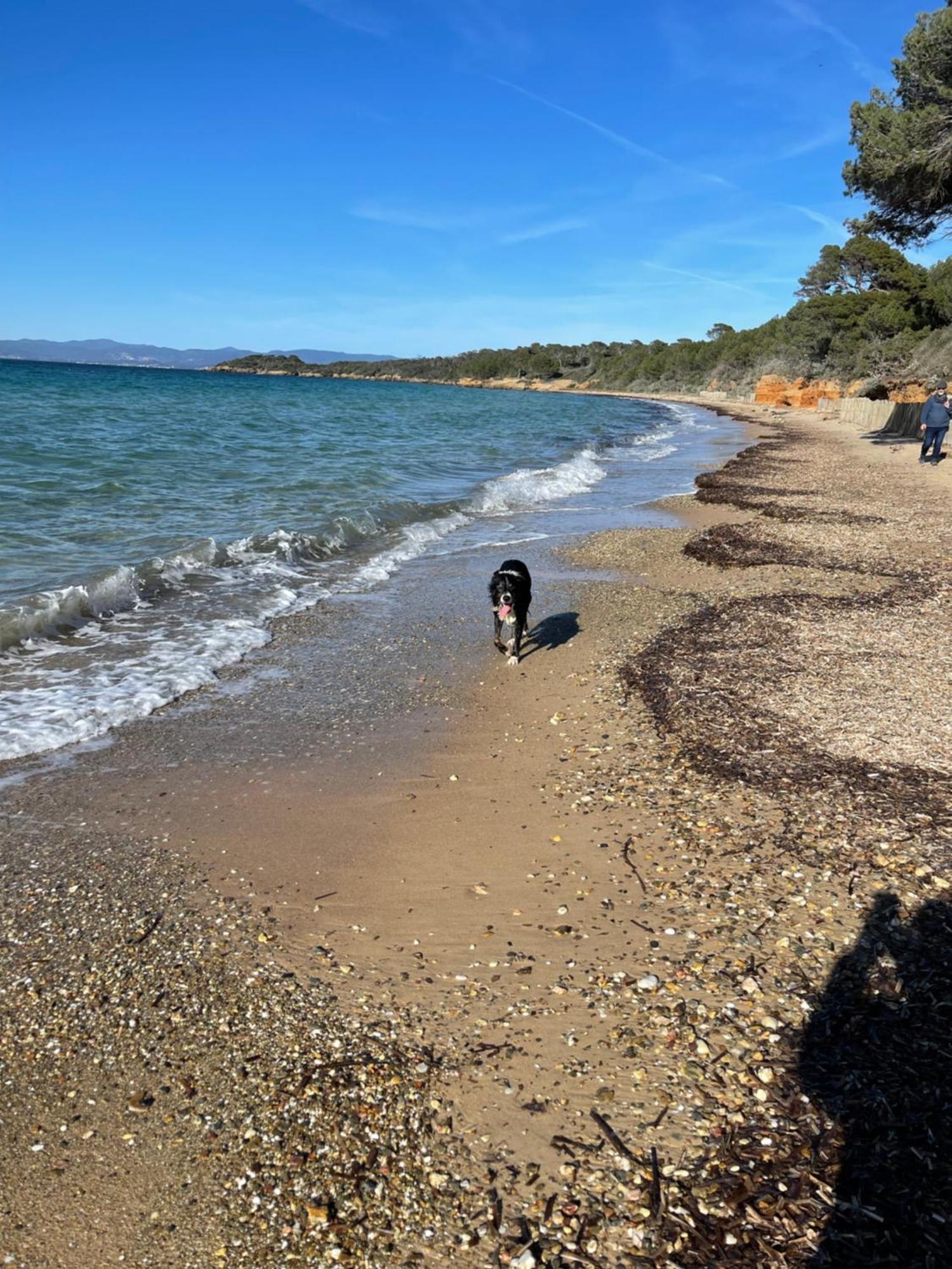 Apartament Latitudes 43 Porquerolles Zewnętrze zdjęcie