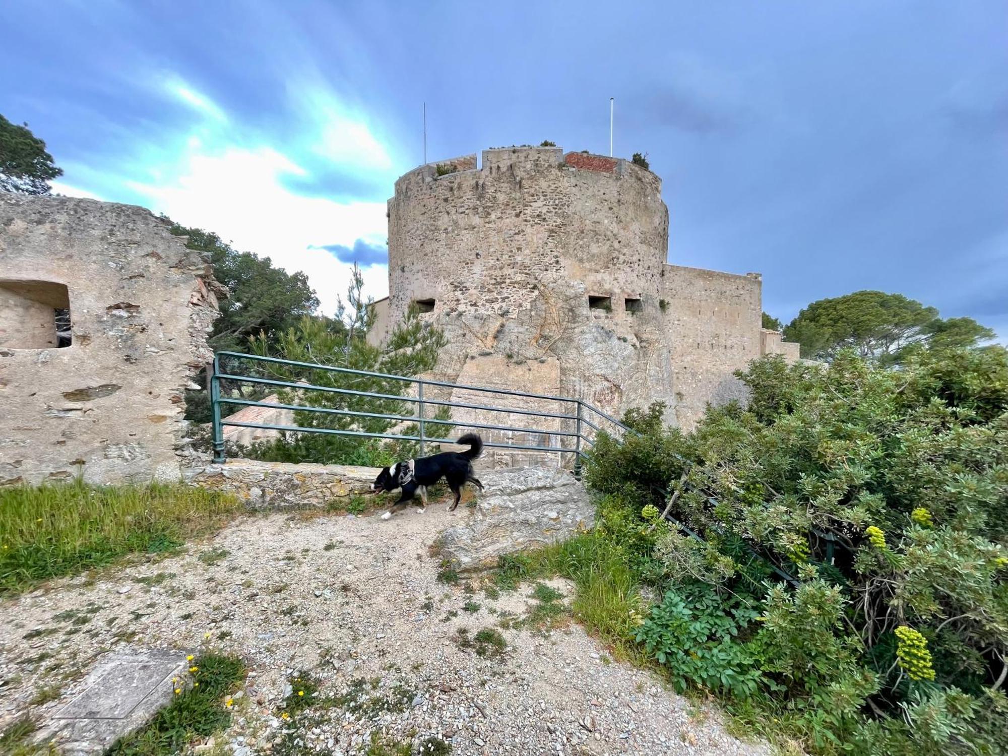 Apartament Latitudes 43 Porquerolles Zewnętrze zdjęcie